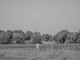 sommar tid i Westfalen foto