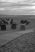 de strand av langeoog ö foto