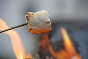 rostning en marshmellow över trä brand foto