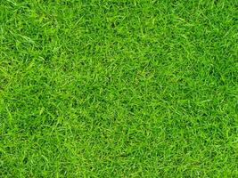 färsk grön gräsmatta gräs textur. foto