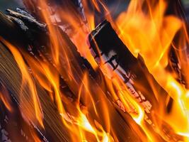 brinnande trä loggar i brand foto