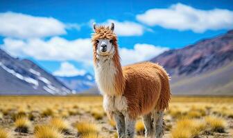 närbild lama står lång i en omfattande bolivian fält. skapas förbi ai foto