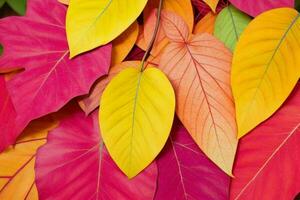 höst bakgrund med färgad löv. ai generativ proffs Foto