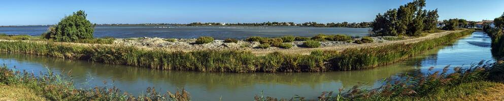 hav kanal, camargue, Frankrike foto