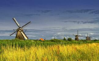 väderkvarnar i kinderdijk, holland, nederländerna foto