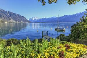 färgrik springtime blommor på Genève sjö och alps bergen i de bakgrund, montreux, schweiz. foto