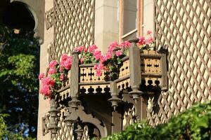 trä balkong med skön rosa blommor foto