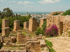 tunis stad i tunisien foto