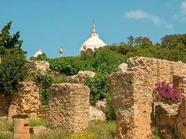 tunis stad i tunisien foto