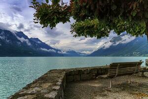 bänk på brienz sjö, schweiz foto