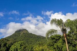 abraao mountain pico do papagaio med moln. ilha grande brasilien. foto