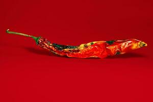 enda chili peppar isolerat på röd eller orange bakgrund, rödorange chilipeppar den där naturligtvis vissna. foto