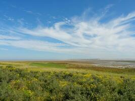 de ö av langeoog foto