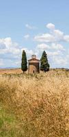 toskanska landet, Italien foto