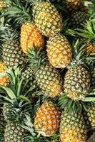 färsk skörd av saftig ananas från gården foto