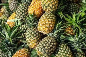 färsk skörd av saftig ananas från gården foto