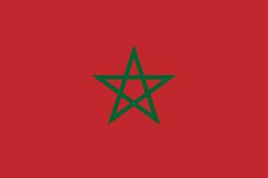 de officiell nuvarande flagga av rike av marocko. stat flagga av marocko. illustration. foto