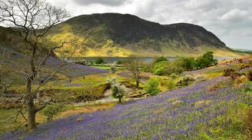 turister som utforskar rannerdale -blåklockorna foto