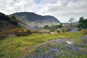 turister och rannerdale blå klockor foto