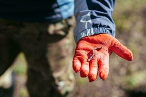 ett daggmask lögner på en handske i de handflatan av en jordbrukare vem arbetade i de trädgård foto