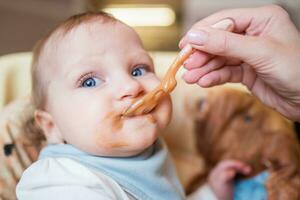 mamma matar henne liten dotter frukt puré från en sked. först mat foto