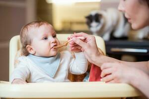 mamma matar en Lycklig bebis frukt puré från en sked. först mat foto