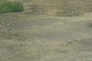 tung regnar. regndroppar på utomhus. vår regn. höst regn säsong. foto