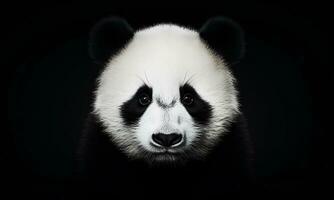 djur- värld på en minimal bakgrund, panda. ai genererad. proffs Foto. foto