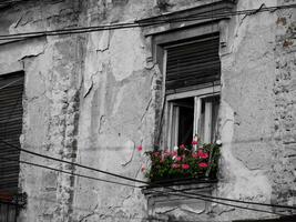 Söt röd blommor på en fönster på en gammal hus foto