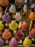 knippa av färgrik hav skal - Hem tillverkad dekoration foto