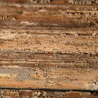 trä med korrosion naturlig mönster foto