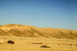 sahara öken- sand sanddyner foto