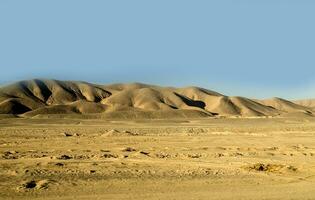 avlägsen sahara sanddyner foto