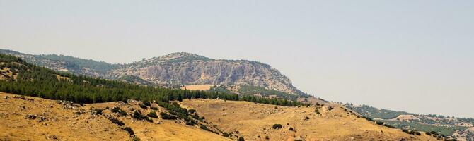 turkiska bergen och grön skog panorama foto