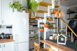 de allmän planen av en ljus vit modern rustik kök med en modul- metall trappa dekorerad med inlagd växter. interiör av en hus med hemplanter foto