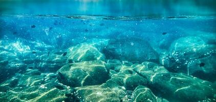 fiskstim som simmar på korallrevet i tropiska havet foto