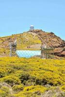 de observatorium är på topp av en kulle med gul blommor foto