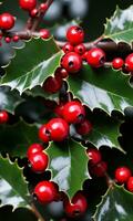 Foto av jul järnek grenar med röd bär. ai genererad