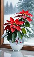 julstjärna mittpunkten på en frostig fönster tröskel med en snöig landskap reflexion dag inomhus- främre skott. ai genererad foto
