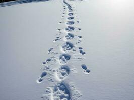 en spår av fotspår i de snö. ai genererad foto