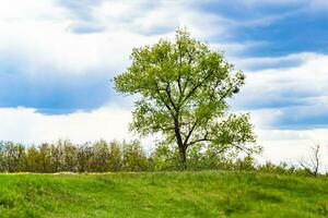 skön horisont landskap i by äng på Färg naturlig bakgrund foto