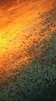 en grupp av fåglar flygande över en lugn sjö ai genererad foto