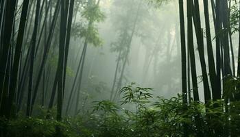 en tät bambu skog med höga träd ai genererad foto