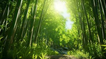 solljus strömning genom en bambu skog ai genererad foto