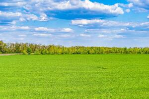 skön horisont landskap i by äng på Färg naturlig bakgrund foto