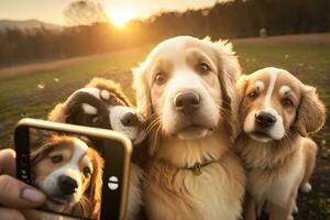 söt beagle ser på de kamera medan tar en selfie med annan beagle och en mops. neuralt nätverk ai genererad foto