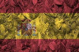 Spanien flagga avbildad på många leafs av monstera handflatan träd. trendig modern bakgrund foto