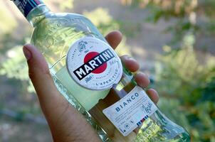 flaska av vermouth Martini rossi i manlig hand på en grön träd bakgrund foto