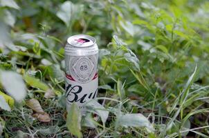 budweiser knopp grå öl kan på grön vild gräs i kväll utomhus foto