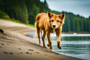 en hund gående längs de Strand av en sjö. ai-genererad foto